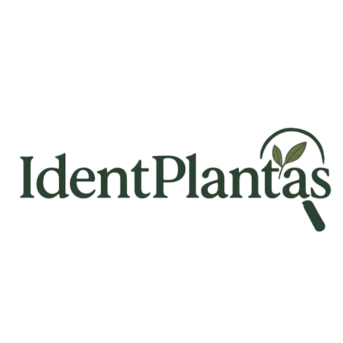 Identplantas